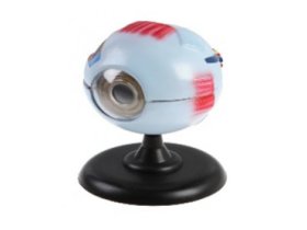 MAXON Модель глаза увеличенная 1633 MAXON Модель глаза увеличенная 1633