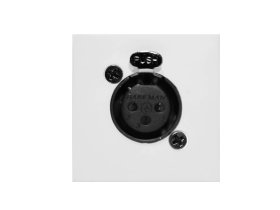 AUDAC Панель для настенного монтажа CP45XLFS/W AUDAC Панель для настенного монтажа CP45XLFS/W
